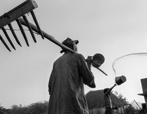 raul canibano