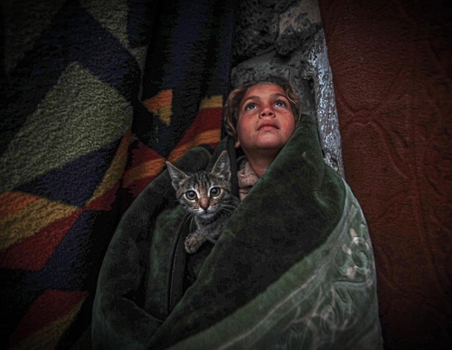 Galería de fotografías de Mohammed Zaanoun - Palestina