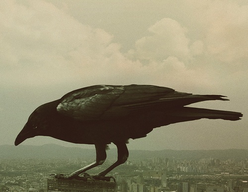 Gallery Of Illustration By Antonio Rodrigues - Brazil