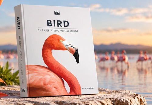 DK | AVES: O GUIA VISUAL DEFINITIVO