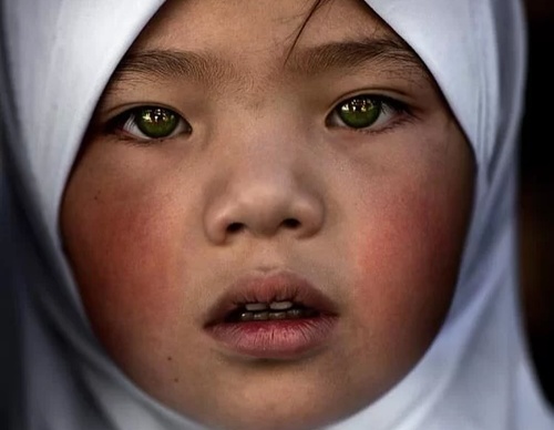 Galería de fotografía de Alessandro Bergamini - Italia