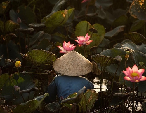 Gallery Of Photography By Réhahn - France