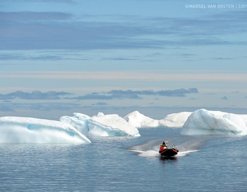 Gallery of Photography by Marsel van Oosten- Netherlands