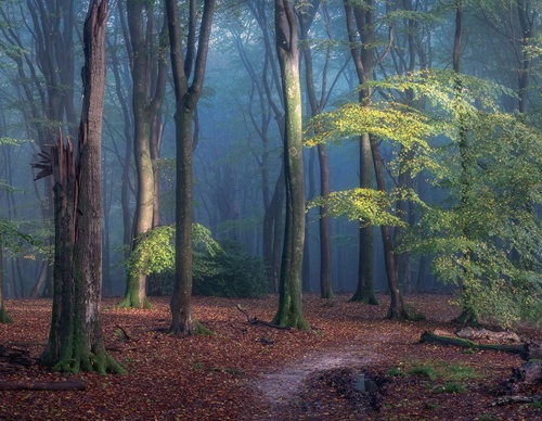 Galería de fotografía de Gijs de Reijke - Holanda