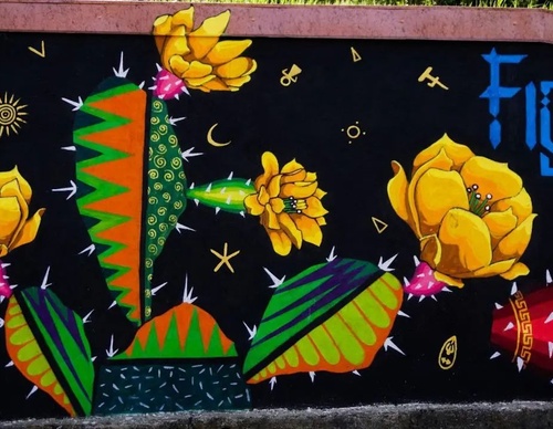 Galería de arte callejero de Spaik - México