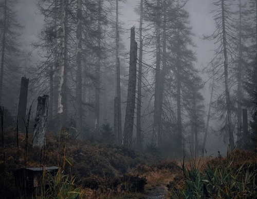 Gallery Of Photography By Steffi Menzel - Germany