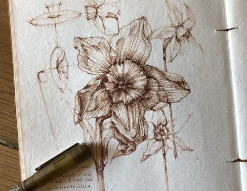 Gallery of Drawing by GiacoMina Ferrillo-Italy