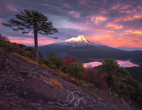 Gallery Of Photography By Jaime Garcés - Chile