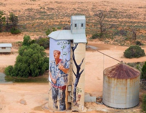 Gallery Of Street Art By Fintan Magee - Australia