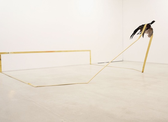 Tatiana Blass