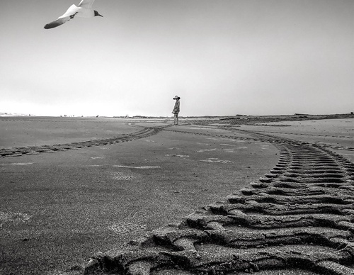 william smith