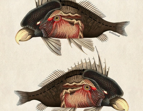 Gallery Of Illustration By Beto Val - Ecuador