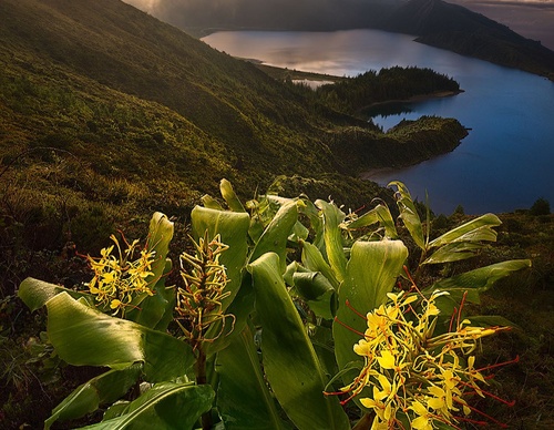 Gallery Of Photography By Isabella Tabacchi - Chile