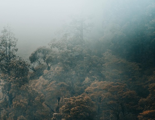 Gallery Of Photography By Rocio Del Valle - Chile