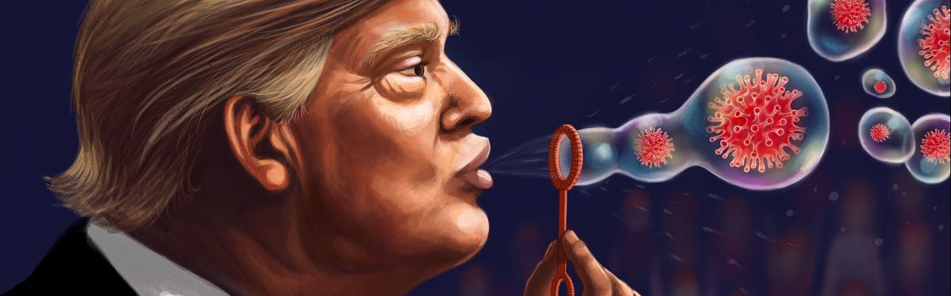 Galería de ilustraciones de Laura Salafia - Estados Unidos