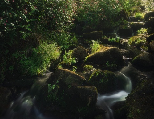 Galería de fotografías de Pujan Shadlau - Austria