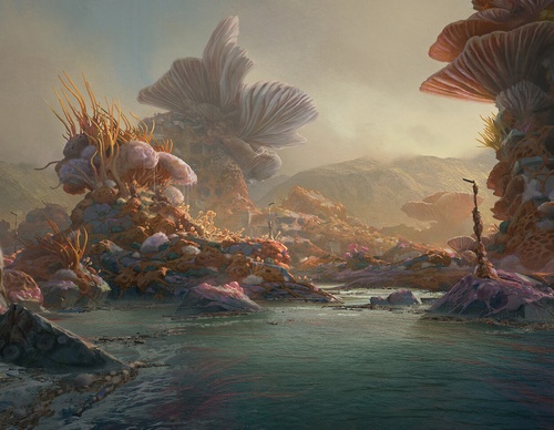 Galería de ilustraciones de Klaus Pillon - Francia