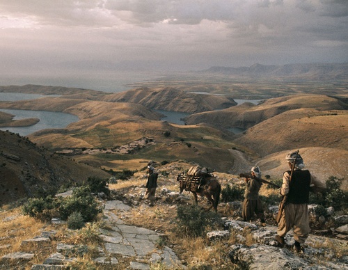 bruno barbey