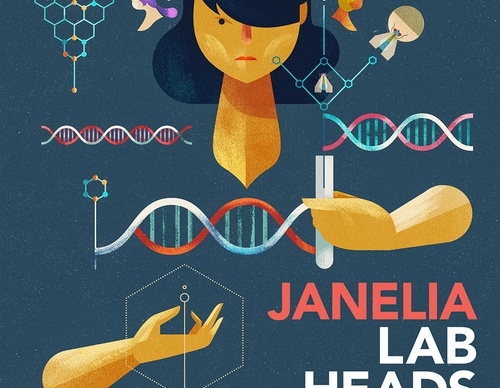 dan matutina
