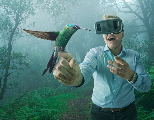 Galeria De Fotografia De Adrian Sommeling - Holanda