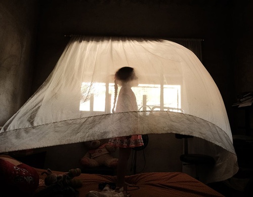 world press photo