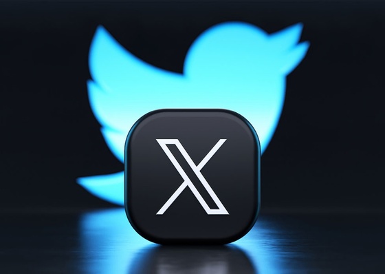 De Blue Bird a Black X: Elon Musk transforma Twitter