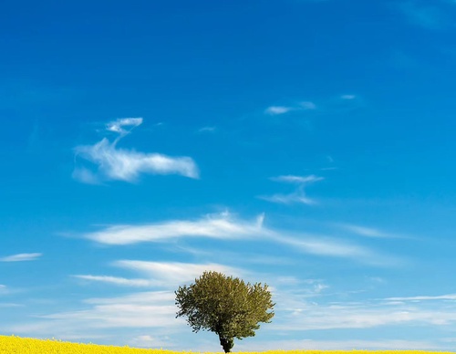 Gallery Of Photography By Mads Peter - Danish