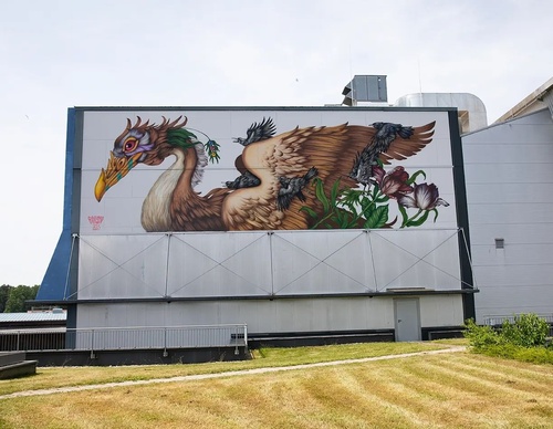 Gallery Of Street Art By Bailon - Brazil
