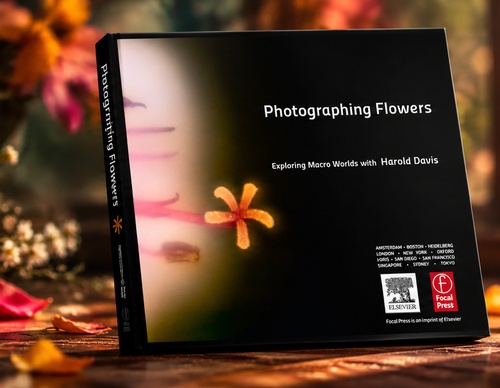 Photographing Flowers: Exploring Macro Worlds with Harold Davis