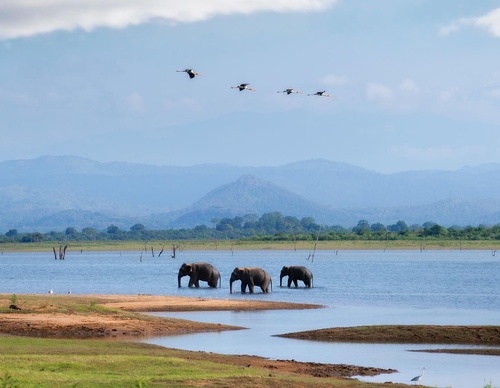 Gallery Of Photography By Ashik Aseem - India