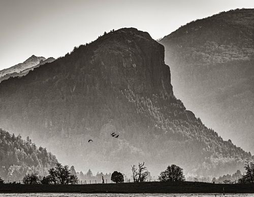 Galería de fotografía de Patricio Rodríguez - Argentina