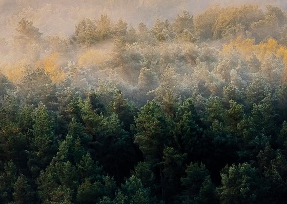 Galeria de Fotografia de Jan Pallmer - Alemanha