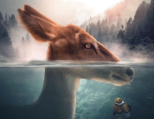 Galería de fotografías de Evgeny Gammer - Rusia