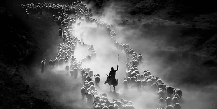 Artistic Photography as a Tool for Social Documentation