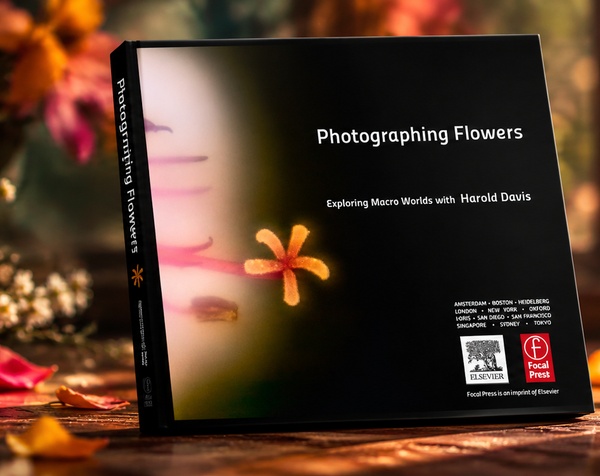 Photographing Flowers: Exploring Macro Worlds with Harold Davis