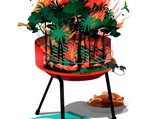 Gallery Of Illustration By Benedito Cristofani - Italy