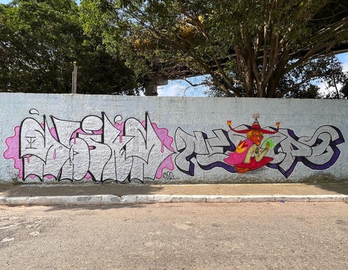 Gallery Of Street Art By Rafael Sliks - Brazil