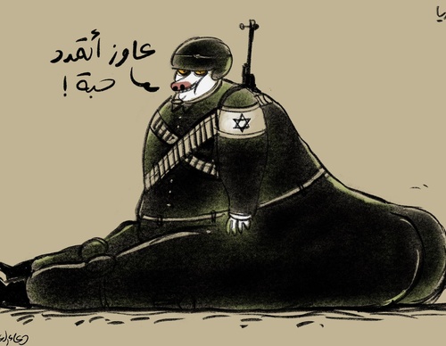 doaa eladl