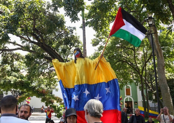 Fotos de José Luis Díaz de la marcha del pueblo de Caracas en apoyo a Palestina