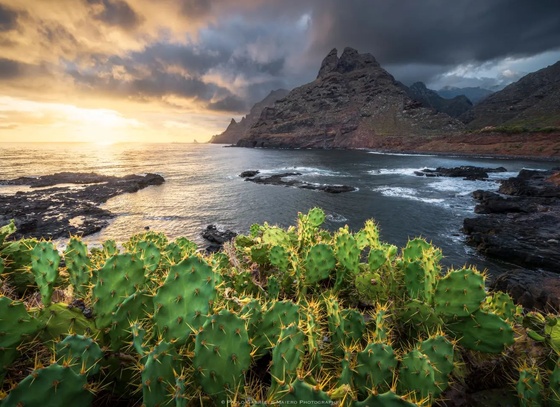 paolo gabriele maiero brazil