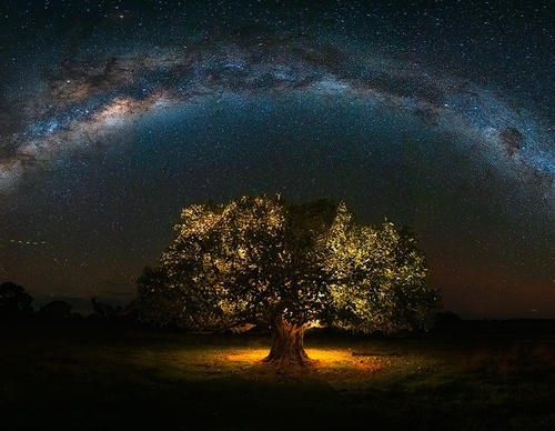 Galería de fotografía de Marcio Cabral - Brasil