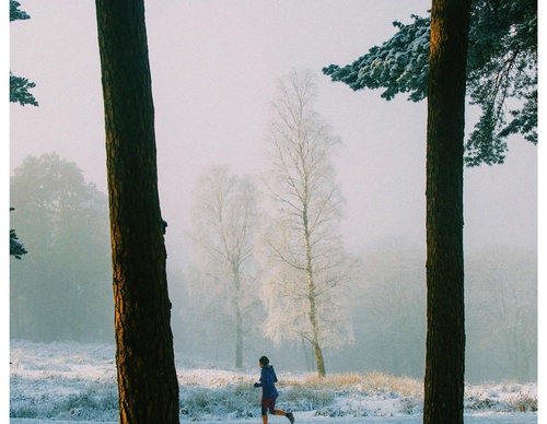 Gallery Of Photography By Daniel Casson - United Kingdom