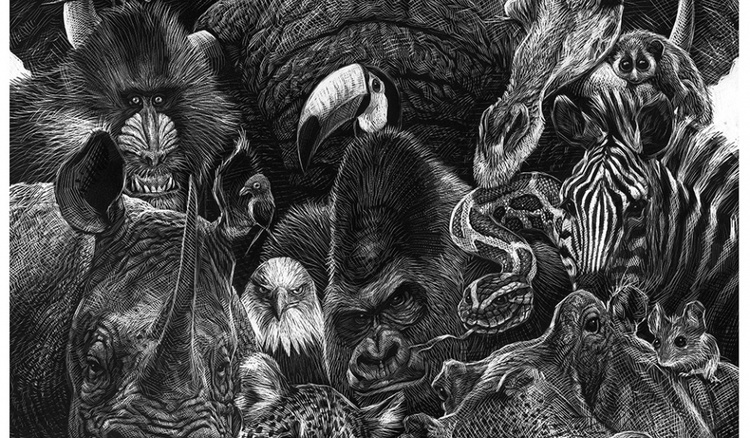The Illustrated Animal – Ricardo Martínez