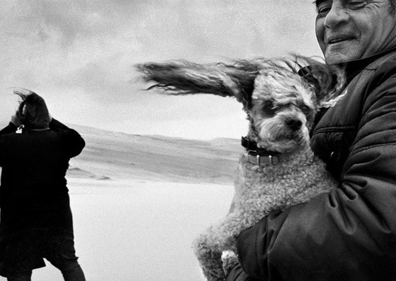 Gallery of Photography by Jean Gaumy – France