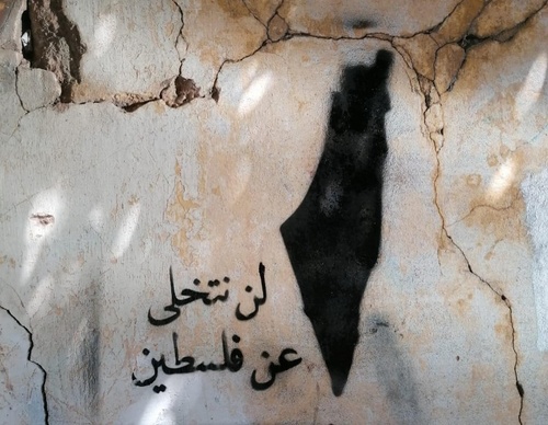 mohamed nihad alam el din
