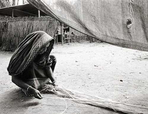 shahidul alam