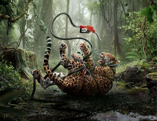 Gallery Of Illustration By Platinum Studio - Brazil