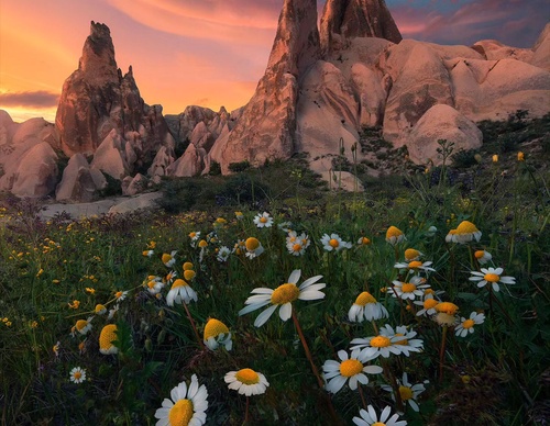 Gallery Of Photography By Max Rive - Netherlands