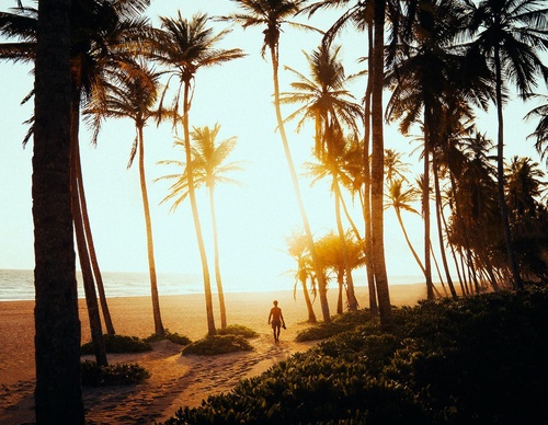 Gallery Of Photography By Luke - United Kingdom