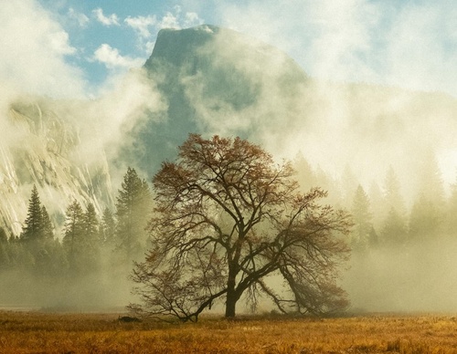 Galeria de fotografias de Tyler Glass - EUA